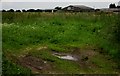 Over  fields  to  Littlewood  Farm