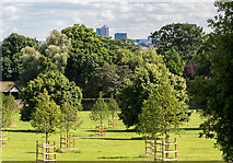 TQ3092 : Broomfield Park, London N13 by Christine Matthews