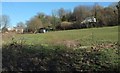 Pasture near Millham Farm