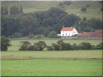 SE9817 : Fields near Horkstow Grange by Paul Harrop