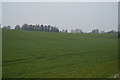 Rolling arable landscape