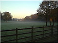 Meadow near Booths Park in the morning mist