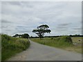 Road north from Headson Cross