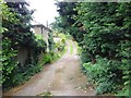 Hayes Lane, near Stockbury