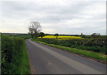 SK6618 : Ragdale Road towards Hoby by Andrew Tatlow