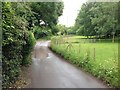 Manor Road, Holly Bushes, near Milstead