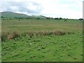 Ellerbeck Common, looking south