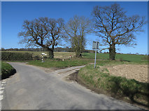 TG2037 : Road junction near Metton by Hugh Venables