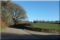 Road past Ethy Barton