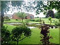 Ornamental pond at Dairy Farm