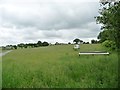 Meadow at the entrance to Bronhafod