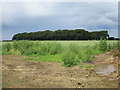 View towards Lodge Farm