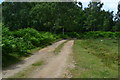 Track on Hightown Common