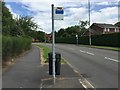 Westbury Park: bus stop on Westbury Road