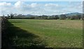 Fields near Broadoak