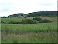 Fields south of Chatton