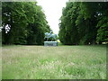 NU0525 : Tree lined avenue and Statue of Field Marshall Viscount Gough, Chillingham by JThomas