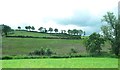 H6710 : Field hedges on a drumlin above the Annagh River by Eric Jones