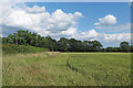 Arable land near Brook Street, Halstead