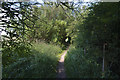 The Sefton Coastal Footpath