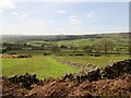 Nidderdale  from  the  Nidderdale  Way