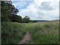 Path below Rowley Wood