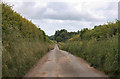 Lane to Burnham Thorpe