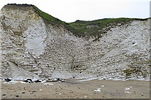 TA2570 : Chalk Cliffs by Anne Burgess