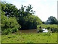 Duck pond near Inglewhite