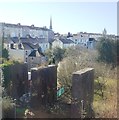 The remains of an old railway viaduct