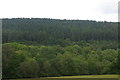 Valley of Afon Twymyn