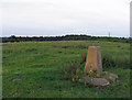 Clack Hill triangulation pillar