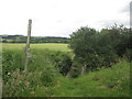 Footbridge on the Tees Link footpath north of Low Farm