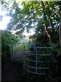 East Howe: kissing gate on footpath E34