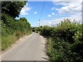 Pilgrims Way, near Thurnham