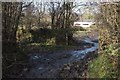 Muddy bridleway, Strongate Farm