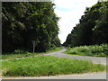 TL9783 : West Harling Road, Middle Harling by Geographer