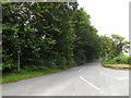 TL9884 : West Harling Road, Middle Harling by Geographer