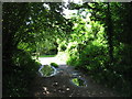 Footpath and Finger Post