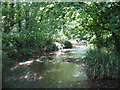 Stream near Durley Mill