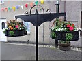 Hanging flower baskets, Errol