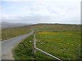 The lane from Olnesfirth