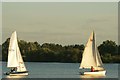 TQ4590 : View of sailing boats on the lake in Fairlop Waters #29 by Robert Lamb