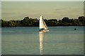 TQ4590 : View of a sailing boat on the lake in Fairlop Waters #16 by Robert Lamb