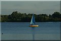 TQ4590 : View of a sailing boat on the lake in Fairlop Waters #19 by Robert Lamb