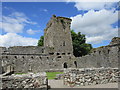 W8493 : Castlelyons Abbey - cloister and central tower by Jonathan Thacker