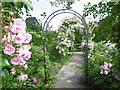 TR0660 : The Millennium Rose Garden at Mount Ephraim Gardens by Marathon