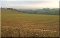 Arable field near Yardley