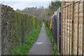 Footpath to Haysden