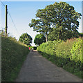 SK5042 : Strelley: near Holly Lodge and the M1 bridge by John Sutton